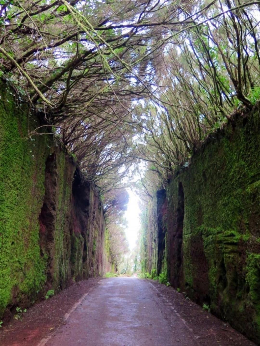 Armonia Park, Tenerife